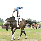 Schaubild Voltigieren