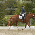 Reiter WB 2. Abt. Schritt, Trab