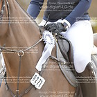 Siegerehrung 13. Stilspringprfg. KL L