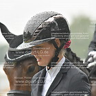 12. Führzügel - WB, 024, 133, 242, 250