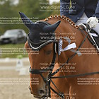 Siegerehrung 1. Abteilung Reiter WB Schritt, Trab