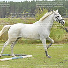 Mannschafts Fun-Trail 01. Gruppe 3