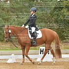 Reiter-WB 03. Gruppe 2