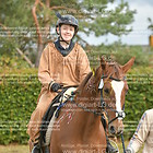 Führzügel 02. Gruppe 1