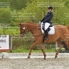 Reiter WB Schritt-Trab Abt.2