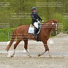 Reiter WB Schritt-Trab Abt.1