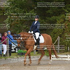 Reiterwettbewerb 1. Abteilung Schritt-Trab-Galopp