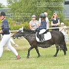 Führzügel 06. Gruppe 1