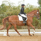 Reiter-WB 03. Gruppe 1