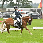 Reiter- WB Schritt, Trab, Galopp 167,247,021,117,044, 177