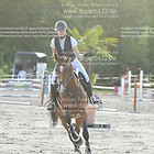 Siegerehrung 11. Amateur-Springpferdeprfg. Kl. A