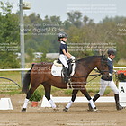 Gruppe 1 Führzügel