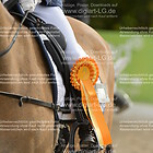 Siegerehrung 2. Abteilung Reiter WB Schritt, Trab