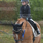 Reiterwettbewerb 2. Abteilung Schritt-Trab-Galopp