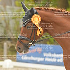 Siegerehrung 16. Dressurprfg. Kl.A