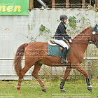 Springreiter-WB 05. Gruppe 1