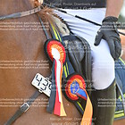 Siegerehrung 18. Springprfg. Kl M