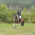 Springreiter-WB 05. Gruppe 3