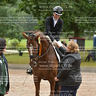 Siegerehrung 06. Dressurprfg. KL. M