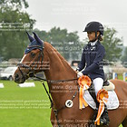 Lüneburger Schärpe Springen & Kombi 16.17