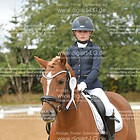 Siegerehrung 04. Dressur-WB