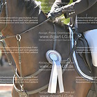 Siegerehrung 11. Springprfg. KL L