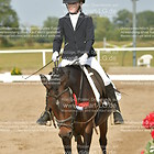 Gruppe 2 Reiter WB Schritt-Trab-Galopp