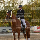 Siegerehrung 04. Dressurprfg. Kl. E