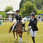 Führzügel-WB Abt.1