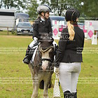 Siegerehrung 15. Führzügel-WB