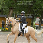 Siegerehrung 06. Dressurprfg. Kl. L-Kandare