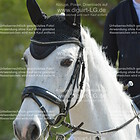 Siegerehrung 12. Punktespringprfg. KL L