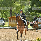 Siegerehrung 02. Amateur-Dressurprfg. Kl. A