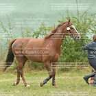 Mannschafts Fun-Trail 01. Gruppe 2