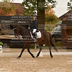 Reiter WB 1. Abt. Schritt, Trab