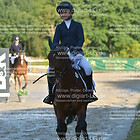 Siegerehrung 12. Stilspringprfg. Kl. E