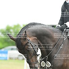 Siegerehrung 18. Springprfg. KL M