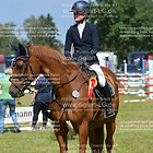 Siegerehrung 11. Stilspringprfg. Kl. L