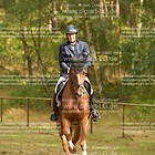 Siegerehrung 12. Eignungsprfg. für Reitpferde