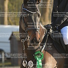 Siegerehrung 10. Stilspringprfg. KL M