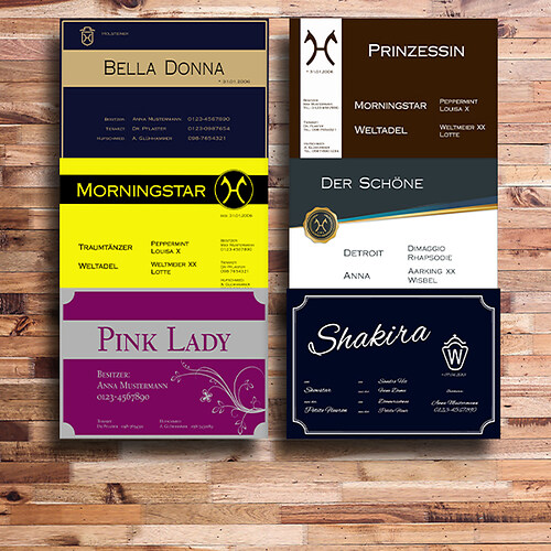 Boxenschilder Elegant Kategoriebild