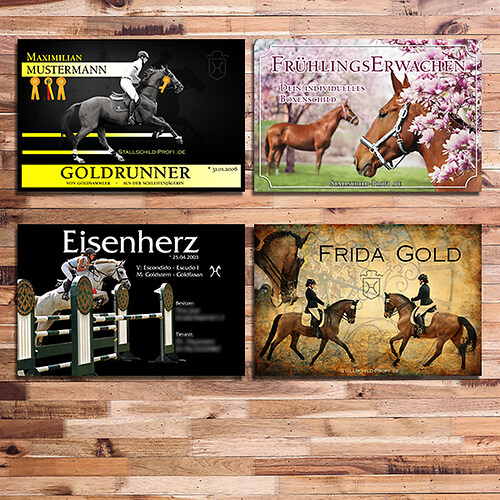 Boxenschilder Fotocollage Kategoriebild