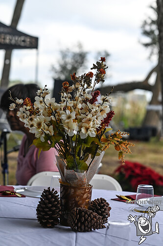 Thanksgiving at the River 2024-1274