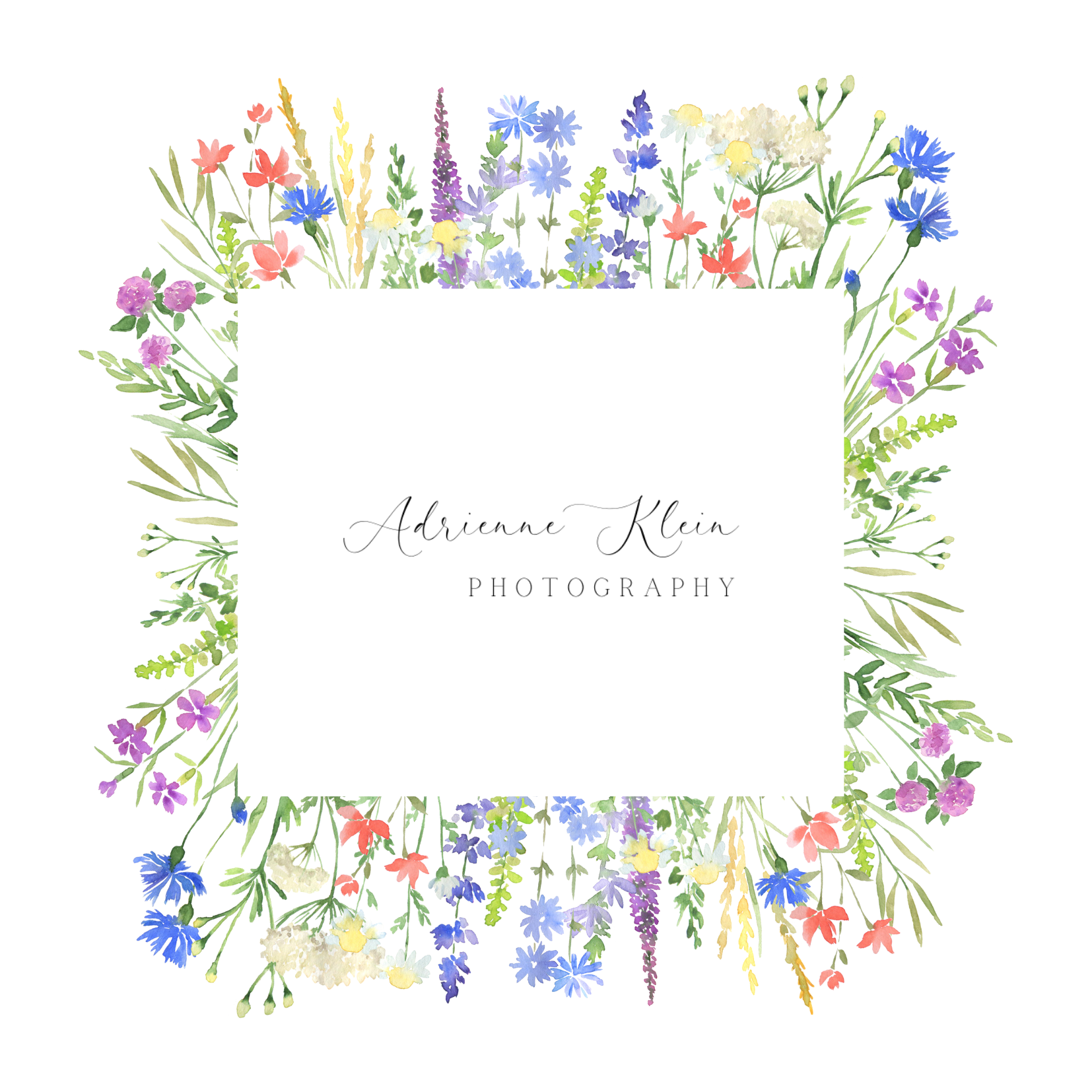 Adrienne Klein Photography