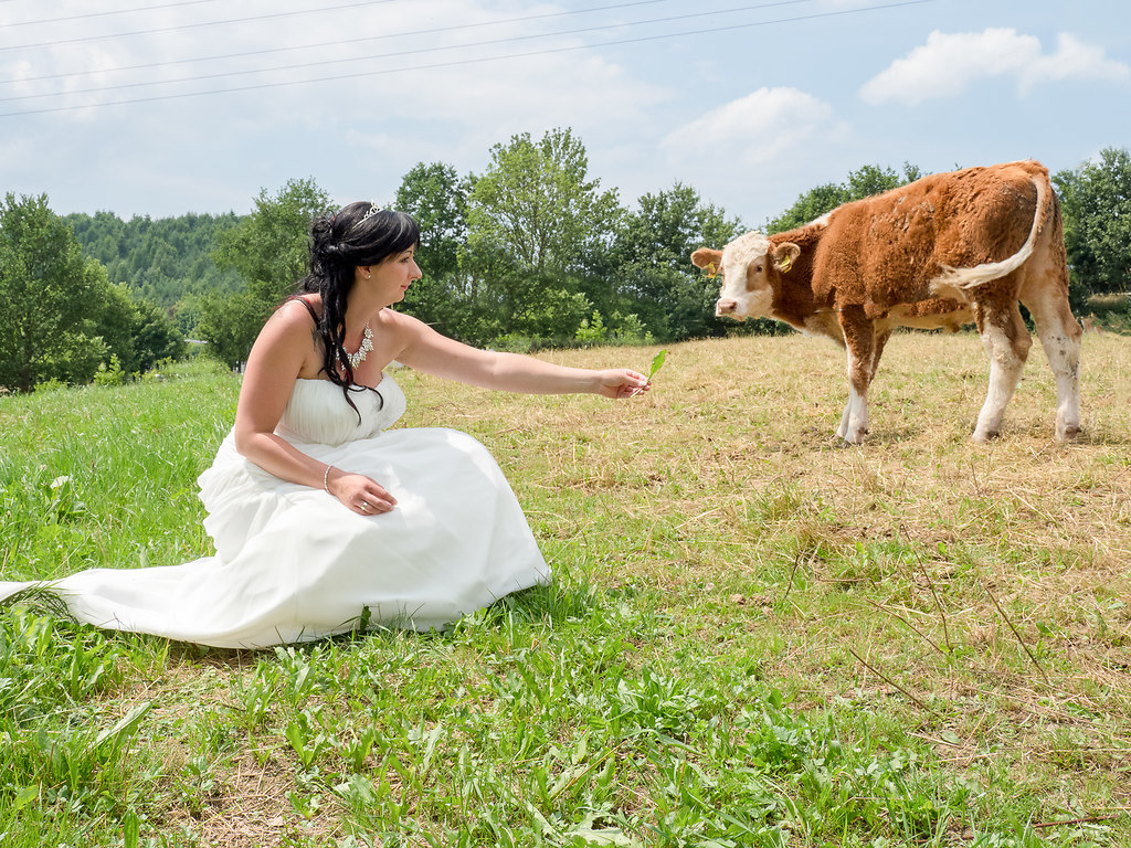 001 | Hochzeitsfotografie Frank Vogel Fotografie Hochzeitsfotograf Aue LÖßnitz Schneeberg Marienberg... | Hochzeitsfotografie Frank Vogel Fotografie Hochzeitsfotograf Aue LÖßnitz Schneeberg Marienberg Stollberg