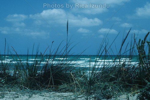 02_View_From_the _Dune