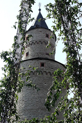 Idstein Hexenturm durch Pflanzen