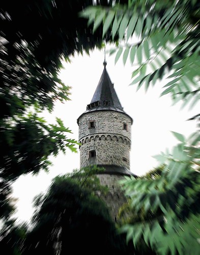 Idstein Hexenturm im Blattwerk um 1355