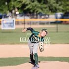 11u Hamilton A's v Heat - Finals