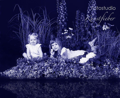 Blumenwiese im Studio